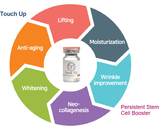 Miracle Touch Up Skin Booster